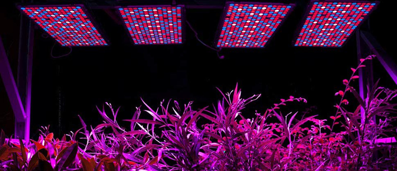 Best LED Grow Lights 2019