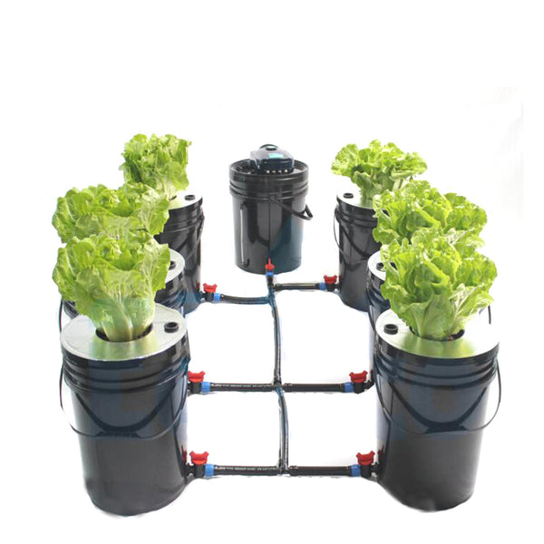 ECO Farm 6 Pots DWC Hydroponics Buckets System - GrowPackage.com