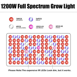 Phlizon 600/900/1200/1600/2200W LED Grow Light