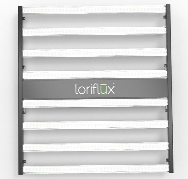Loriflux 8 sales