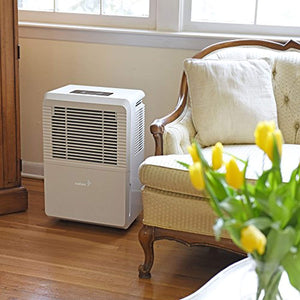 Ivation 70 Pint Energy Star Dehumidifier