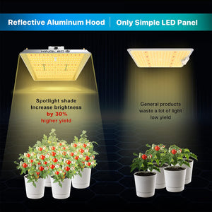 KingLED UL2000 LED Grow Light for Indoor Hydroponic Plants Veg and Bloom