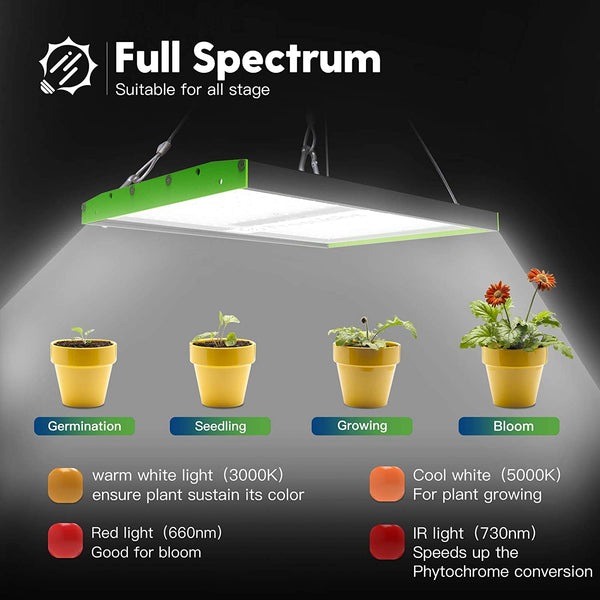 Freelicht store grow light