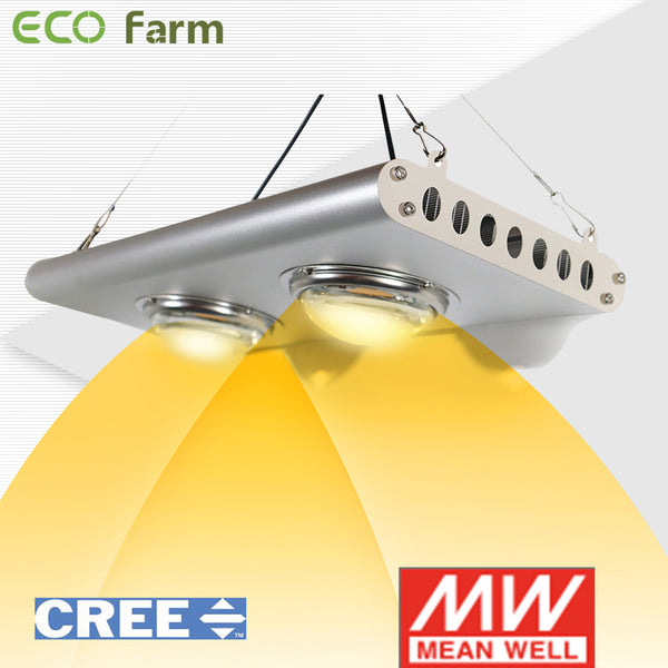 New Arrival ECO Farm 240W CREE COB LED Grow Light Available