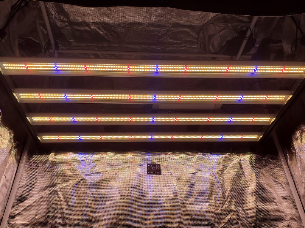 Slim 320H 320W Dimmable LED Grow Light for Indoor Plants Supplies -  GrowPackage.com