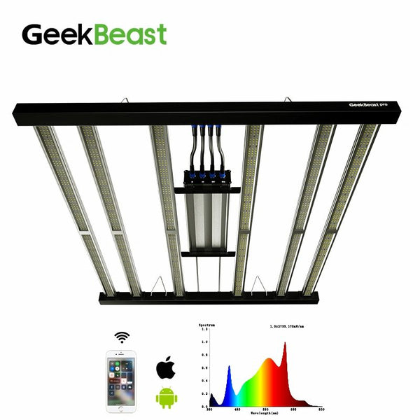 Geekbeast plus top