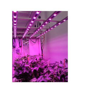 Illumitex Eclipse Commercial 150w Dual Bar LED Grow Lights