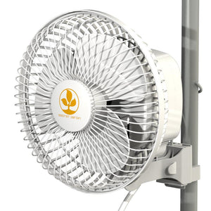 Secret Jardin Monkey Fan 16W 7.5''